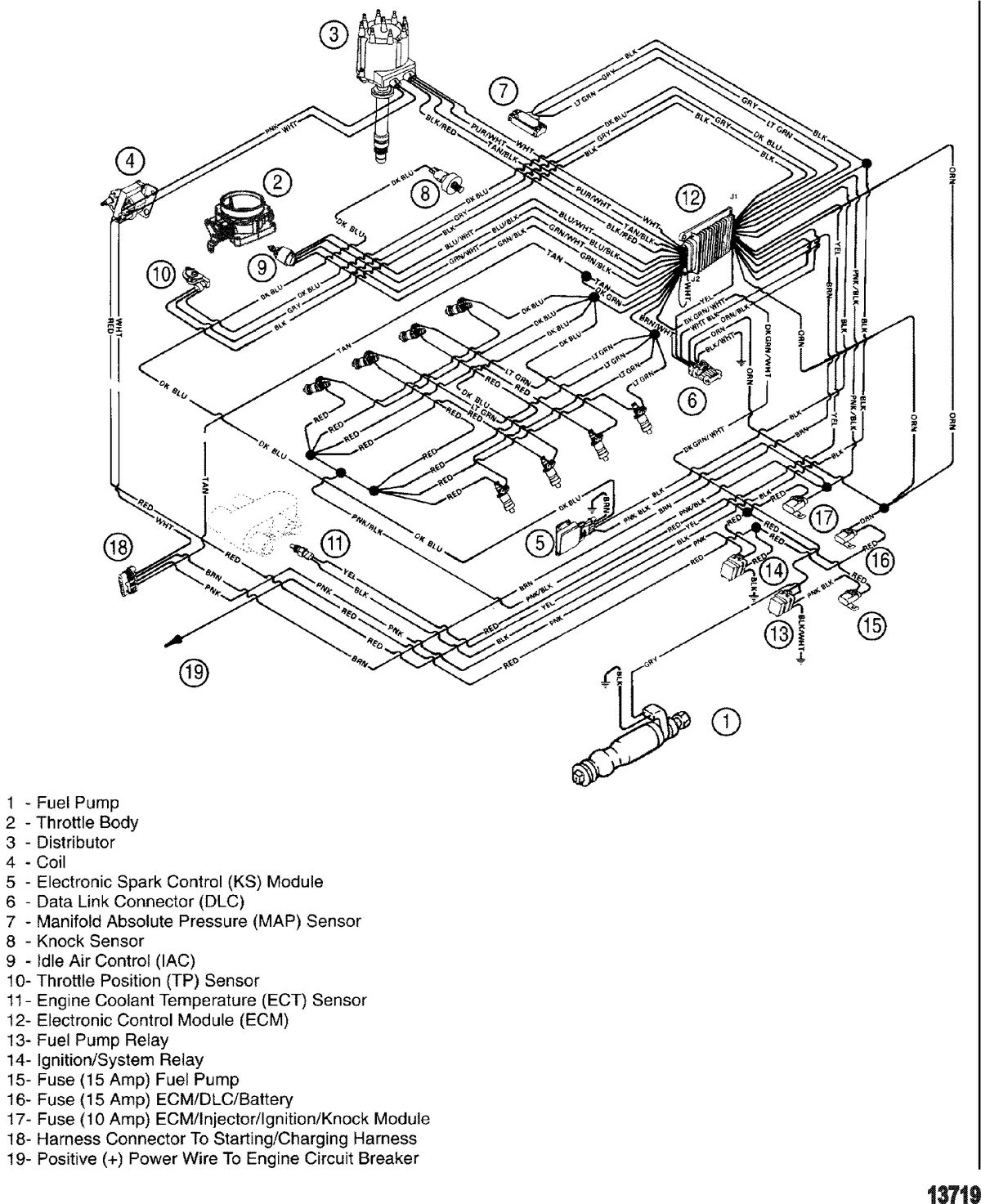 MERCRUISER 350 MAG MPI TOURN SKI (GEN +) Wiring Harness(EFI)
