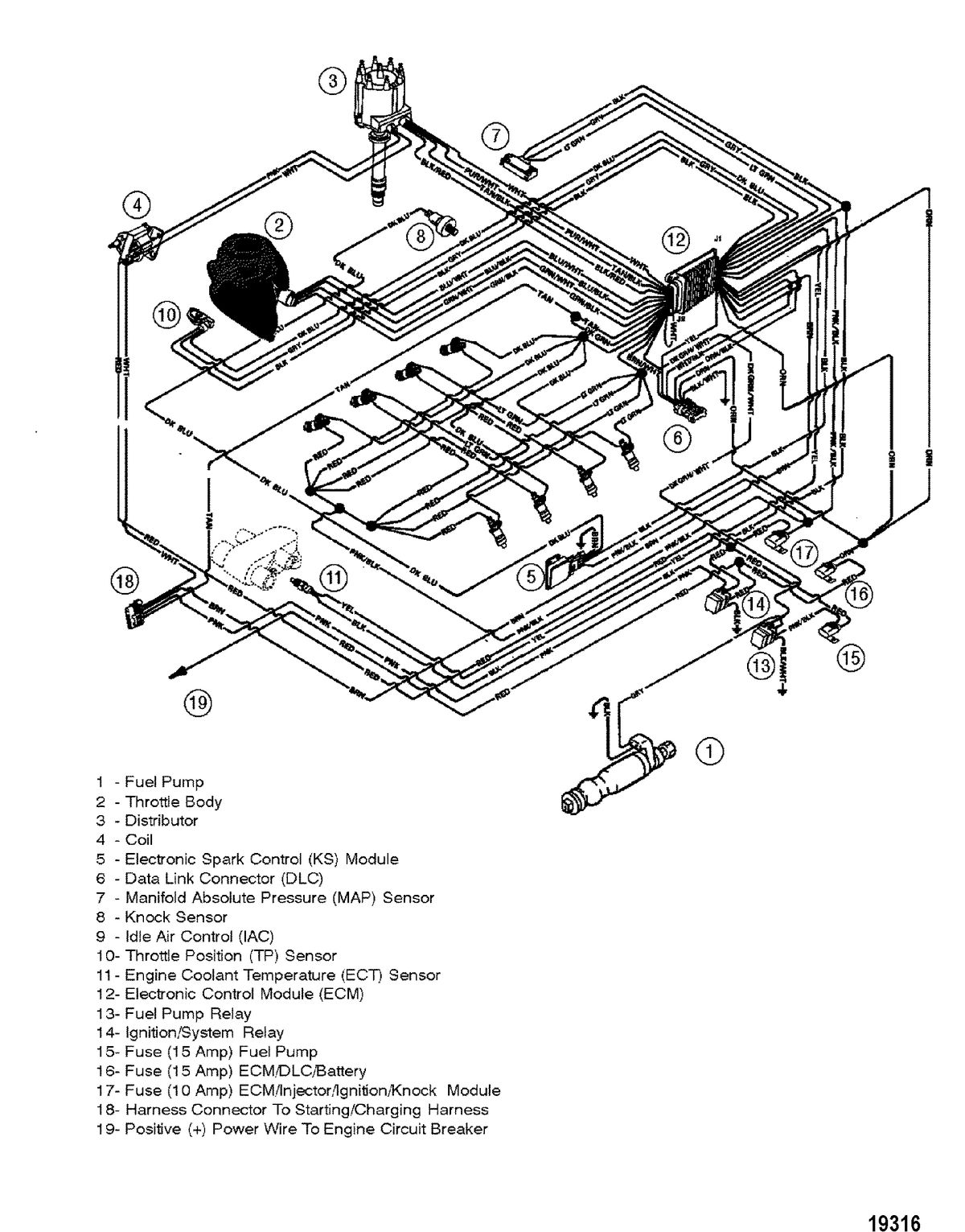 MERCRUISER 350 MAG MPI (GEN+)MIE Wiring Harness(EFI)