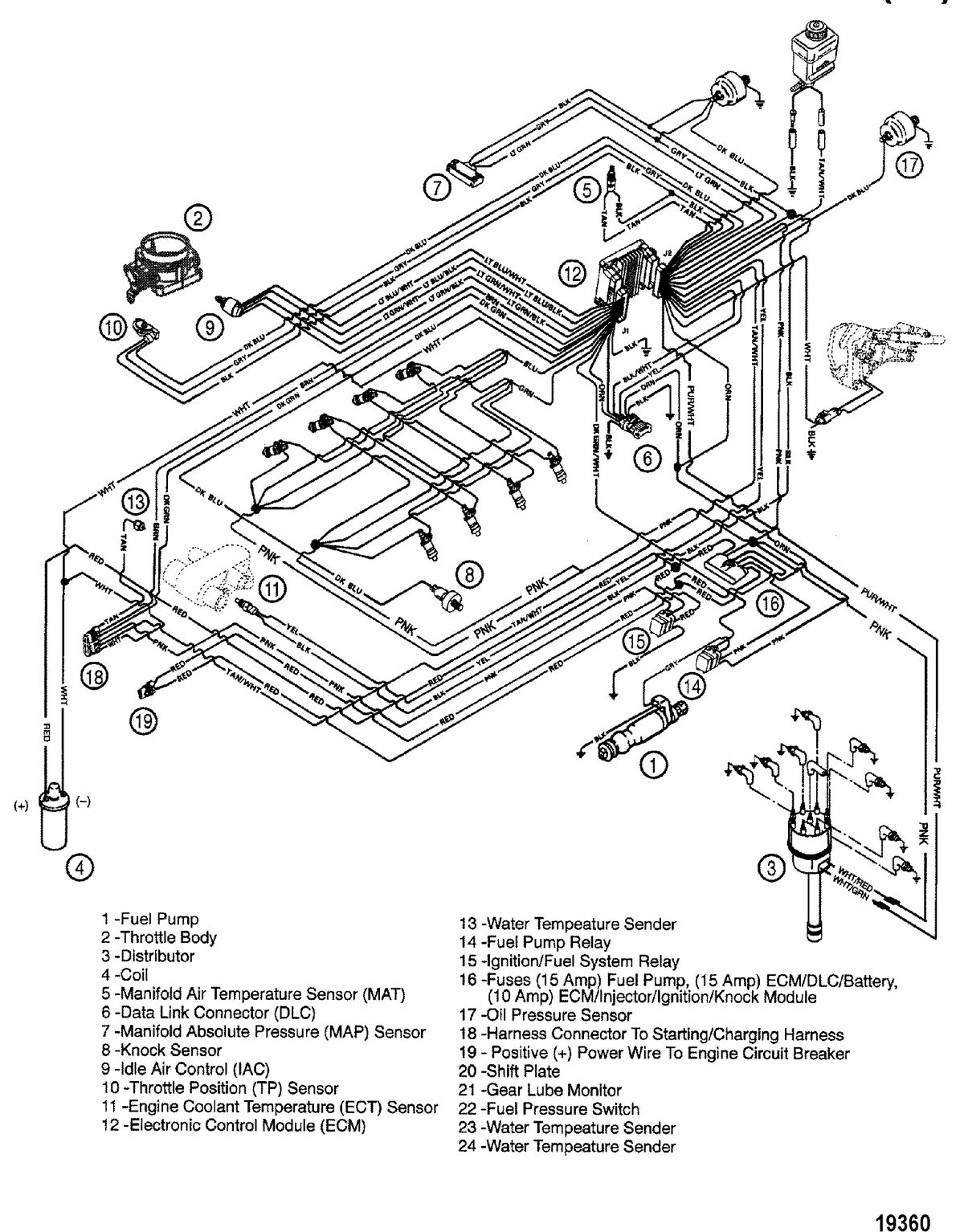 MERCRUISER 350/6.2L MAG MPI (MIE) (GEN+) Wiring Harness(EFI)