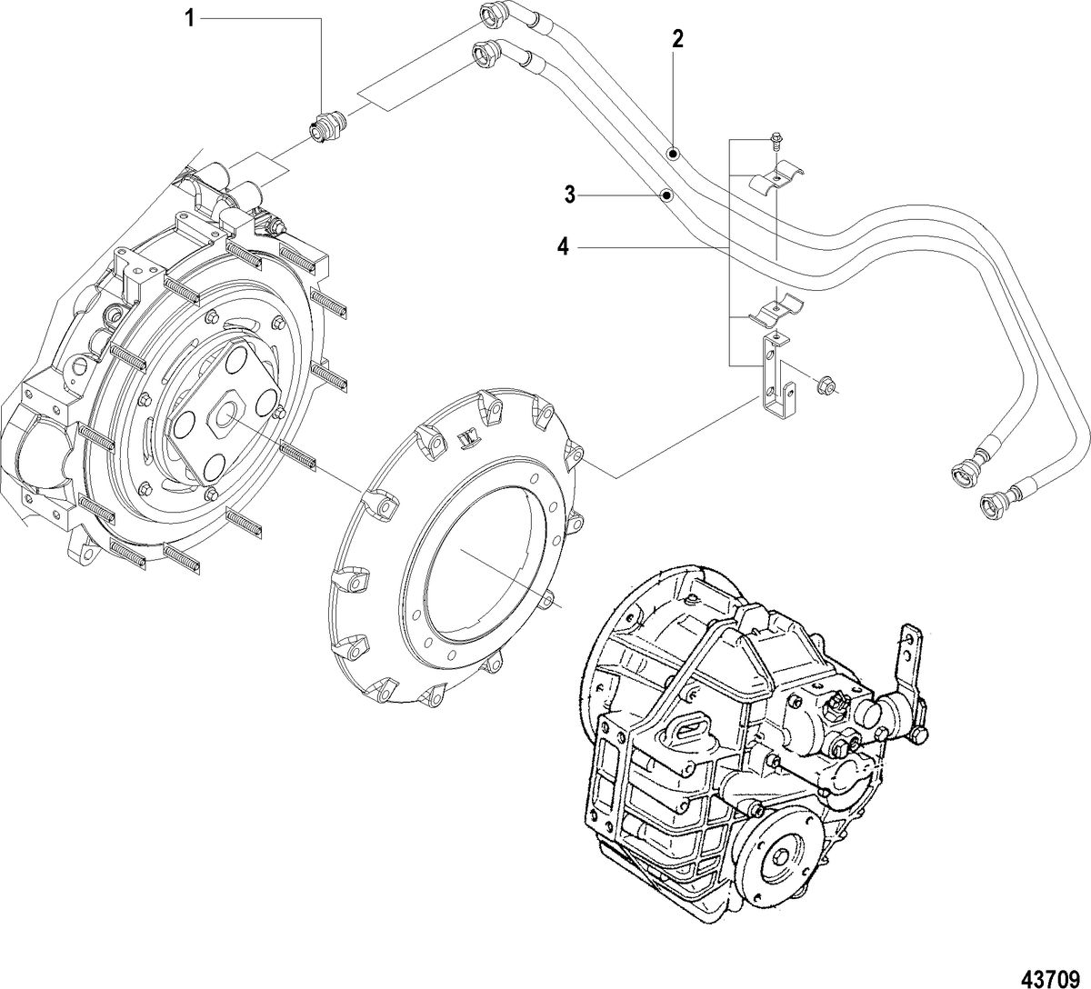 MERCRUISER CUMMINS/MERCRUISER DIESEL QSD-4.2L Transmission Hoses