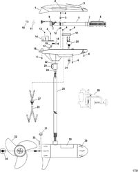 TROLLING MOTOR MOTORGUIDE TT THRUSTER SERIES Complete Trolling Motor(Model TT4800) (12 Volt)